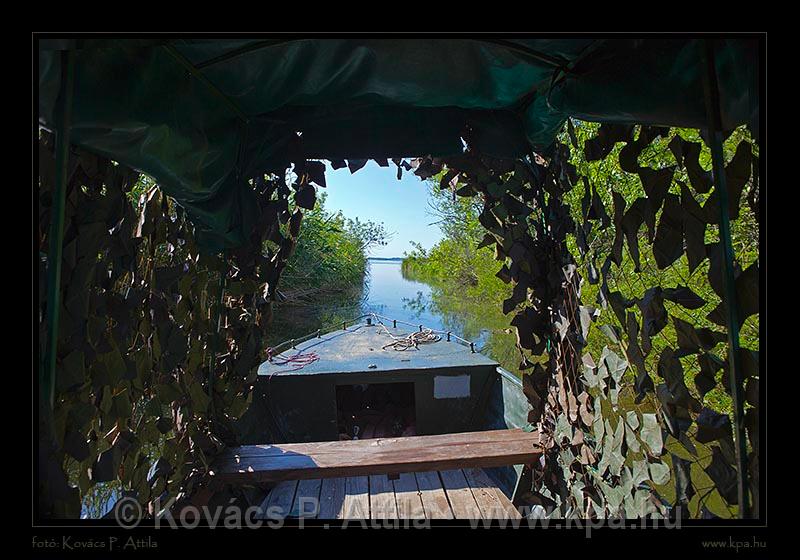 Tisza-tó 061.jpg